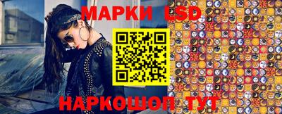 гашик Кулебаки