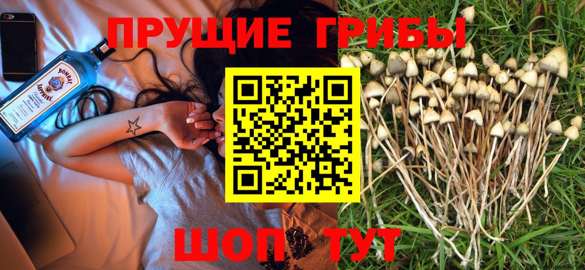 Ейск  Галлюциногенные грибы Magic Shrooms  Вход с VPN 